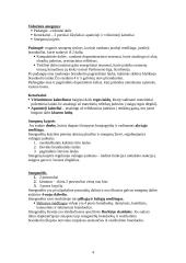 Galvos smegenys 4 puslapis