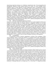 Geologijos egzamino klausimai 11 puslapis