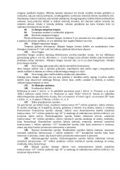 Geologijos egzamino klausimai 15 puslapis