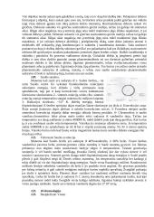Geologijos egzamino klausimai 17 puslapis