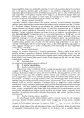 Geologijos egzamino klausimai 6 puslapis