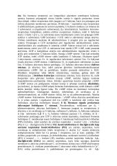 Teorija apie hormonus 2 puslapis