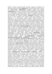 Teorija apie hormonus 7 puslapis