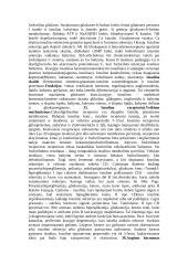 Teorija apie hormonus 10 puslapis