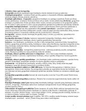 Kartografijos pagrindai ir esmė