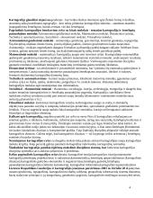 Kartografijos pagrindai ir esmė 4 puslapis