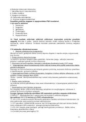 Krovinių vežimas muitinės priežiūra 11 puslapis