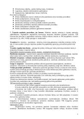 Krovinių vežimas muitinės priežiūra 5 puslapis