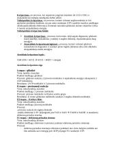 Kvėpavimo procesas