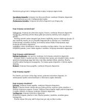 Kvėpavimo procesas 3 puslapis