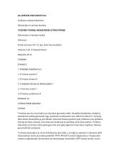 Turizmo teorija mokslinėje literatūroje