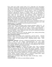 Mikrobiologijos pasiruošimas egzaminui 14 puslapis