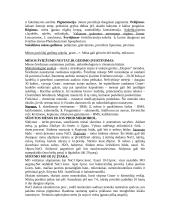 Mikrobiologijos pasiruošimas egzaminui 9 puslapis