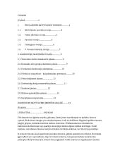 Darbuotojų motyvacija įmonėse