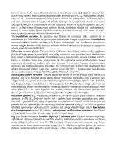 Optika ir šviesa 8 puslapis