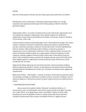 Darželio "X" analizė