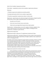 Individualios darbo vietos ir padalinio organizavimo principai