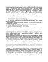 Sociologijos pagrindai 4 puslapis