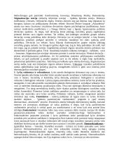 Sociologijos pagrindai 6 puslapis