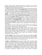 Sociologijos pagrindai 8 puslapis