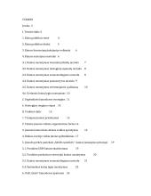 Kainodaros organizavimas X imonėje
