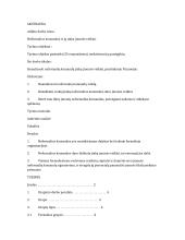 Neformalios komandos ir jų įtaka įmonės veiklai