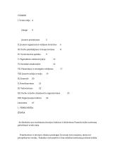 Nuo verslo idėjos iki įgyvendinimo