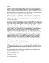 Organizacijos strateginis formavimas. Strategijos lygiai