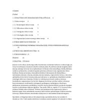 Organizacijų etika kaip vadybos optimizavimo įrankis