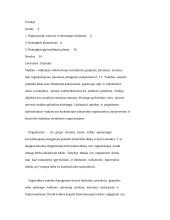 Organizacija, vadovas ir sėkmingas valdymas