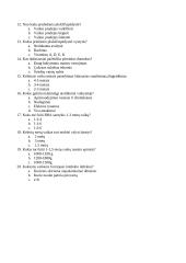 Ankstyvos vaikystės amžius 3 puslapis