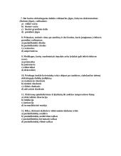 Elektromagnetizmas ir spinduliuotės 2 puslapis