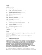 Projektų užbaigimo etapai