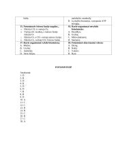 Fotosintezės lentelės 2 puslapis