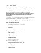 Projektų rizikos valdymas