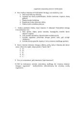 Mikroelementai ir vitaminai 2 puslapis