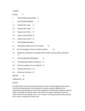 Strateginio planavimo proceso ir jo etapų apibūdinimas