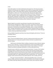 Sisteminis “UAB Transcom WorldWide Vilnius” organizacijos veiklos apibūdinimas