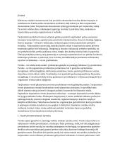 Standartizavimas ir planavimas tarptautiniame versle