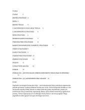 Strategijos taikymo galimybės įmonėje