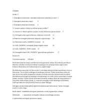 Strateginio planavimo esmė ir taikymas organizacijoje