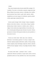 Turizmas ir jo perspektyvos Lietuvoje