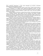 Bausmių sankcijos: kaip vertina bausmių sankcijas vaikai? 6 puslapis
