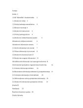 UAB ”Baltexfilm” informacinis aprūpinimas