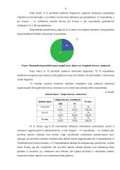 Darbuotojų motyvavimo tyrimas 17 puslapis