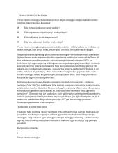 Verslo vieneto strategija