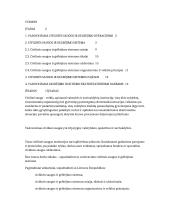 Vadovavimas civilinės saugos ir gelbėjimo sistemai