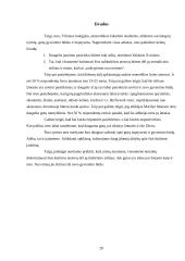 Gotų gyvenimo būdas ir mąstysena 20 puslapis