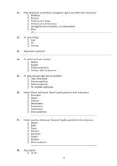 Gotų gyvenimo būdas ir mąstysena 8 puslapis