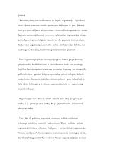 Vadovo funkcijos organizacijose